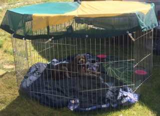 Shade tarps for dog clearance kennels