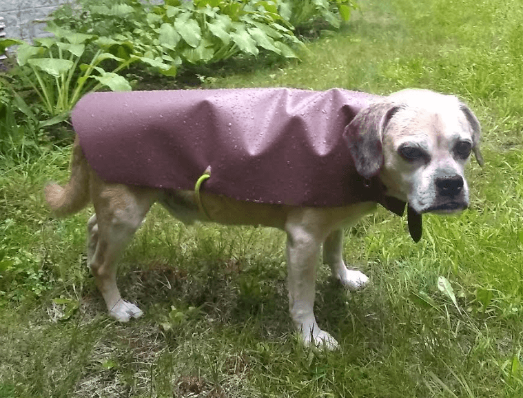 Heavy Duty vinyl makes a great makeshift rain jacket